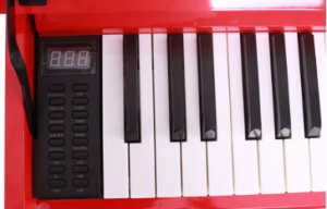 Electronic Piano for Sales Electric Piano Hammer 88 Key Digital Piano Kid