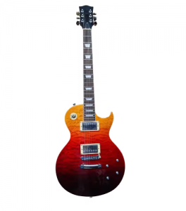 Electric Guitar 6-String & Electric Bass Guitar