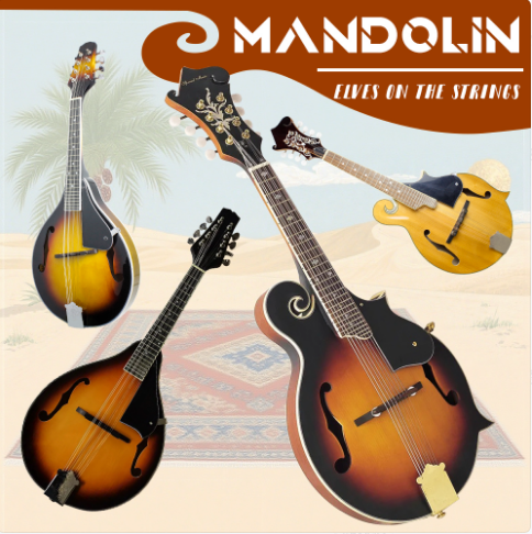 The mandolin is not merely an instrument