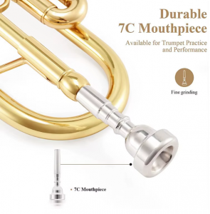 Professional Trumpet Import Wholesale Complete Set of Musical Chinese Instrument Brass Band Instruments