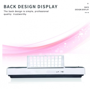 Popular Multi-function 61 Keys Electric Piano Keyboard OEM ODM Electronic Organ with 200 Tone 128 Rhythm 10 Demo Song