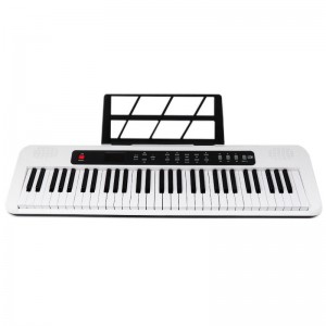 61 Keys Light-up Electric Piano Audio Input Output Teaching Function Beginners Digital Display Electric Organ Keyboard