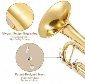 Professional Trumpet Import Wholesale Complete Set of Musical Chinese Instrument Brass Band Instruments