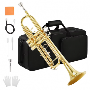 Professional Trumpet Import Wholesale Complete Set of Musical Chinese Instrument Brass Band Instruments