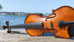 Handmade Solid Wood Professional Flame Violin 4/4 – China Factory
