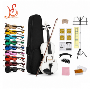 Plywood Beginner Violin, Multi‑Color Musical Instrument Violin Starter Kit with Hard Case, Bow, Rosin & Full Accessories for Students Beginners