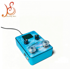 HUASHENG Transparent Glitter Plastic Guitar Pedal Footswitch Cap, Universal Protective Footswitch Topper for Music Pedal