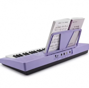 HUASHENG 61-Key Portable Electric Keyboard Piano, Purple – Beginner Digital Piano with 500 Tones & 500 Rhythms, USB Powered, Model 30 for Outdoor Use