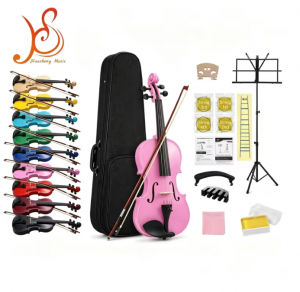 Plywood Beginner Violin, Multi‑Color Musical Instrument Violin Starter Kit with Hard Case, Bow, Rosin & Full Accessories for Students Beginners