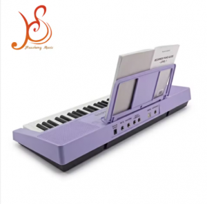 HUASHENG 61-Key Portable Electric Keyboard Piano, Purple – Beginner Digital Piano with 500 Tones & 500 Rhythms, USB Powered, Model 30 for Outdoor Use