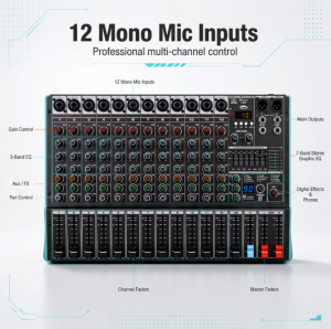 HSTK16 12 Mono Mic Input Audio Mixer Stereo Output Professional Sound Mixer Musical Instrument Accessory