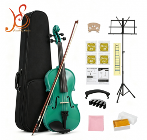 Plywood Beginner Violin, Multi‑Color Musical Instrument Violin Starter Kit with Hard Case, Bow, Rosin & Full Accessories for Students Beginners