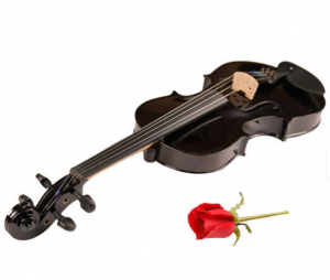 Solidwood Violin – Full Size Colorful Violin for Student Beginners