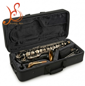 Professional Alto Saxophone Eb Key Brass Body Made in China for Adult Beginner Music Exams and Stage Performance